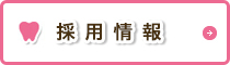 採用 情報