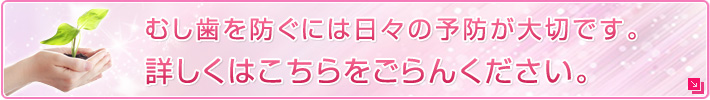 むし歯を防ぐには日々の予防が大切です。詳しくはこちらをごらんください。