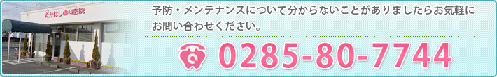 予防・メンテナンスについて分からないことがありましたらお気軽にお問い合わせください。0285-80-7744